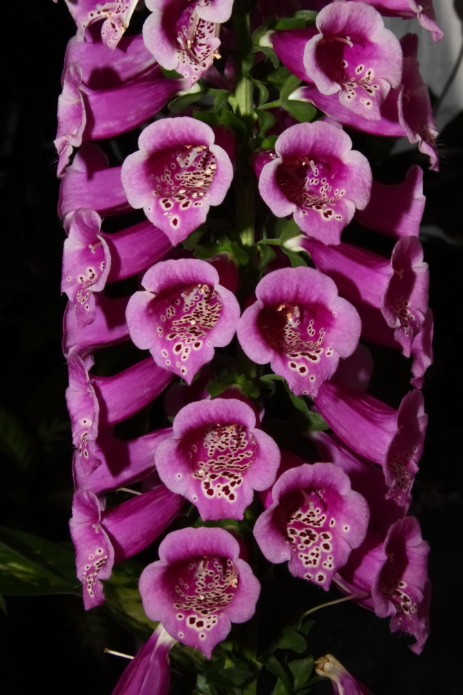 2012 04 13 9999 48